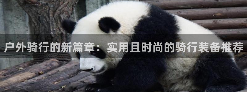 利记体育手机版官网