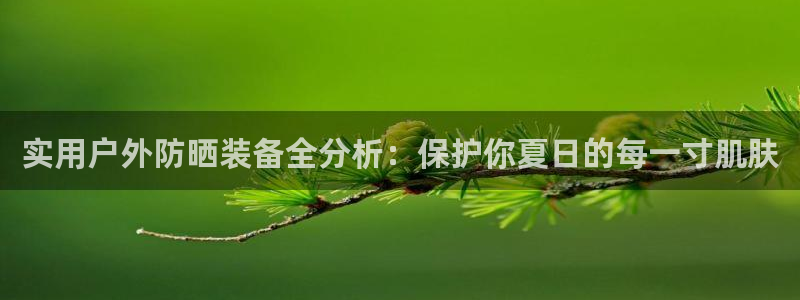 利记官网入口最新版