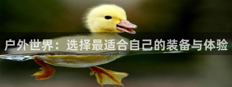 澳门大利来记官网