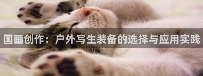 利记彩票平台官网