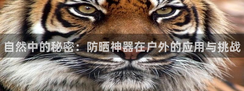 香港利记lee kee集团官网