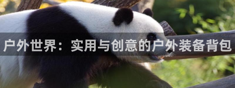 利记官网平台入口