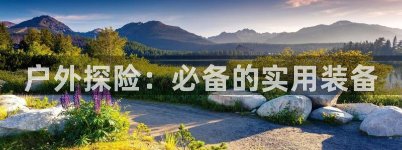 利记彩票官网hd71