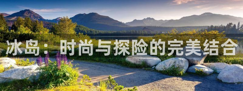 利记官网会员登录