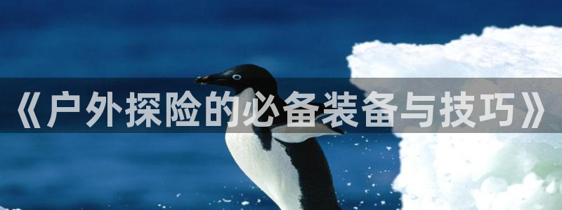 利记游戏开户ysb体育官方官网