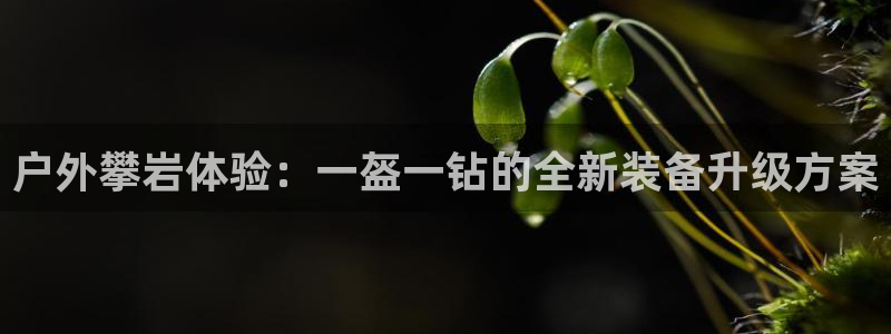 利记 官网