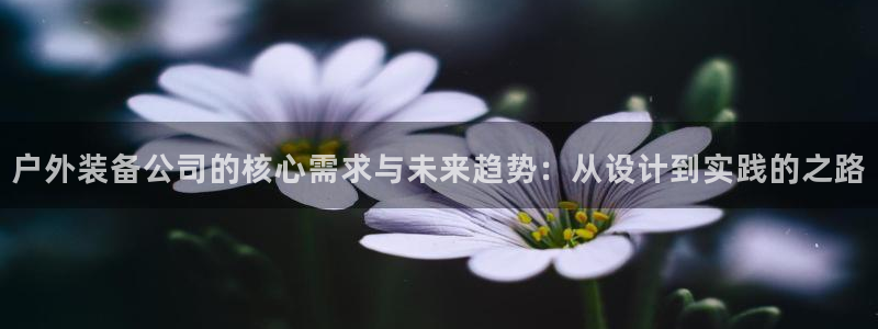 利记彩票官网hd71