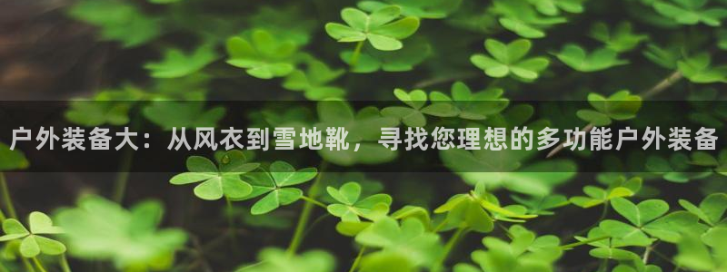 利记体育平台官网