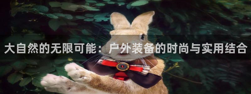 利记体育官网