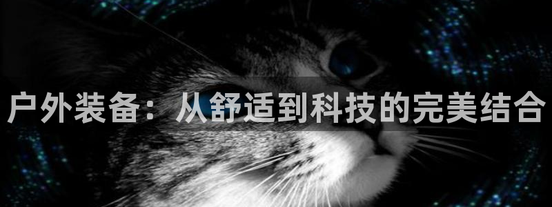 利记投注平台官网
