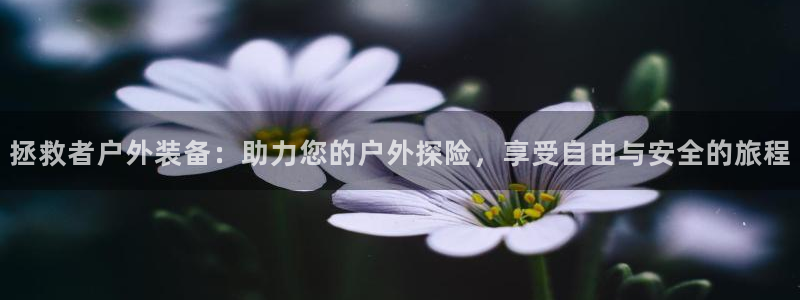 利记官网加盟