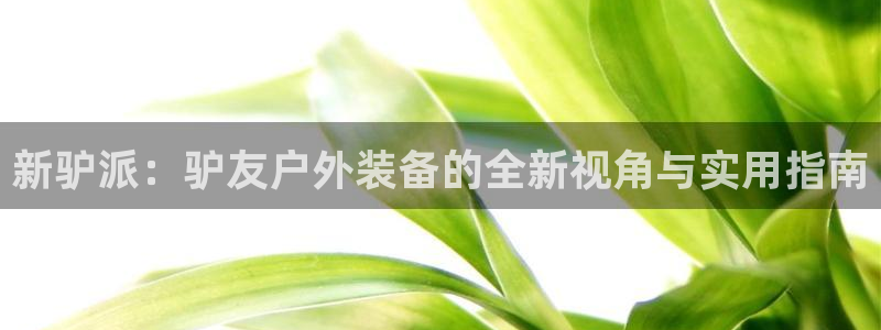 利记彩票官网