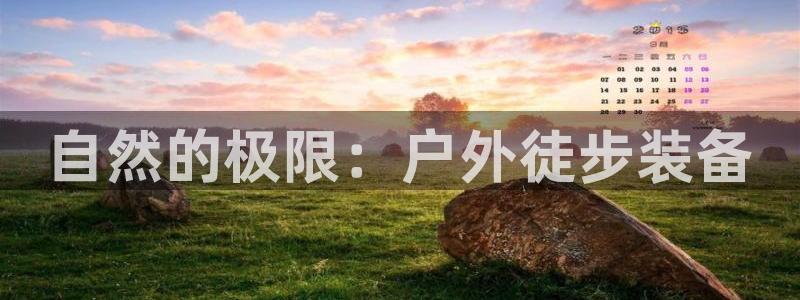 利记娱乐网唯一官网