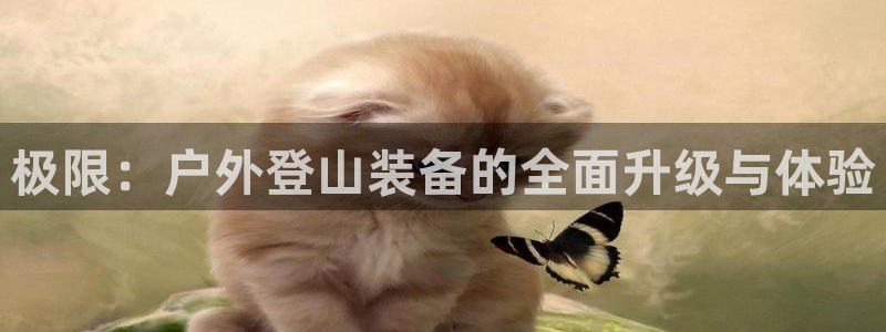 利记app官网