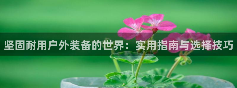 利记广告联盟官网