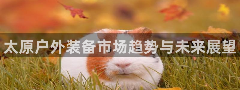 利记博彩官网APP