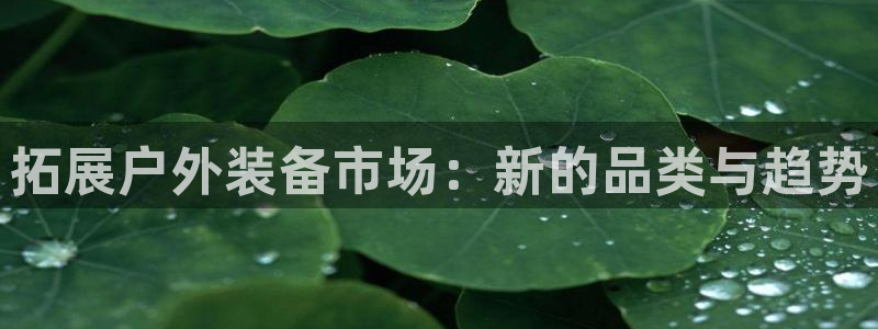 利记官网会员登录