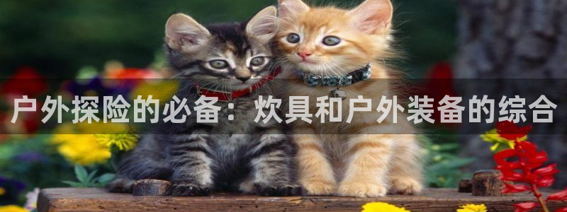 万利记官网