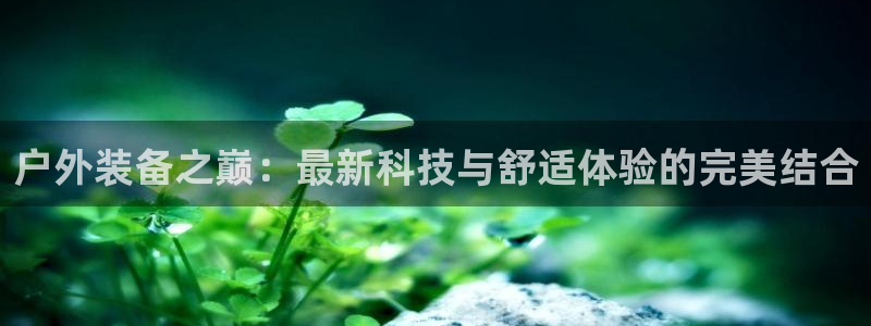 利记正式官网
