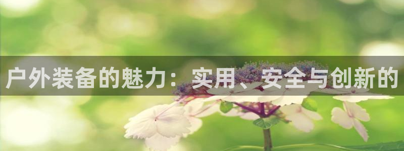 利记彩票官网