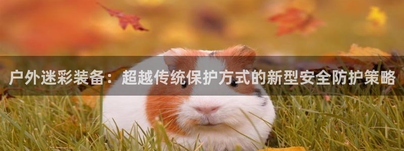 利记体育app官网
