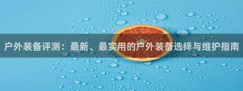 利记官网葡京投注网址