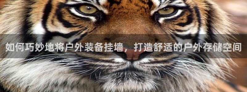 利记真正的官网是多少