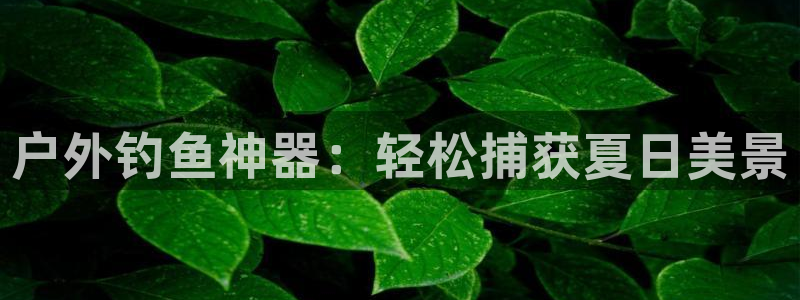 利记游戏开户ysb体育官方官网