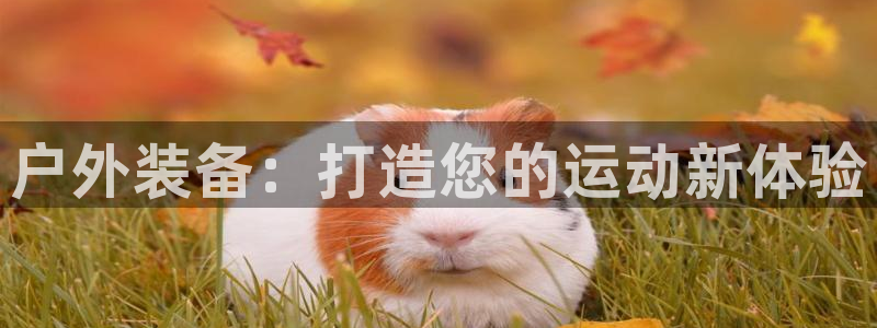 利记体育在线官网
