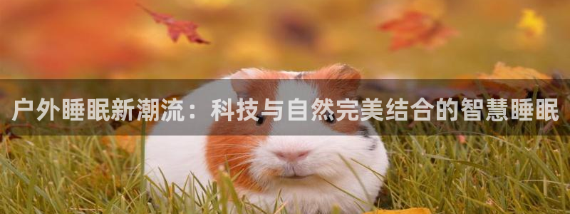 利记官网多少