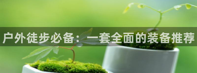 香港利记集团官网招聘
