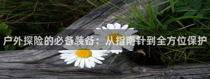 利记网官网网址