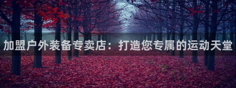 利记国际有限公司官网