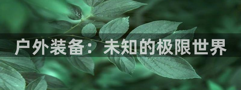 利记bet官网登录入口