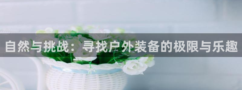 利记体育手机版官网