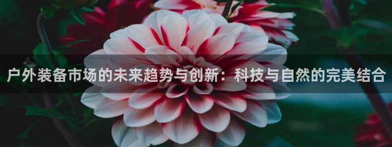 利记博彩官网APP