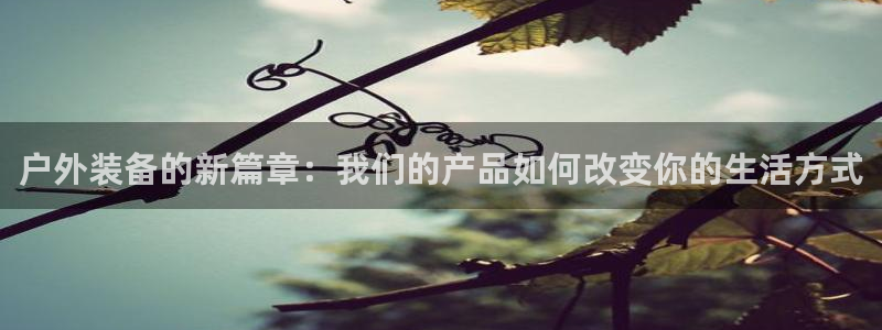 利记官网入口