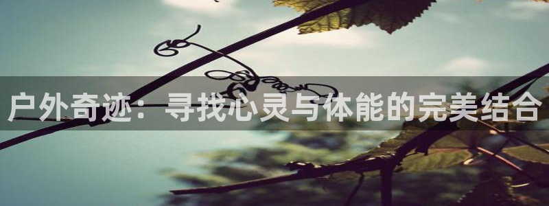 利记官网平台入口