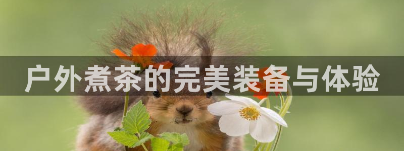 利记手机官网葡京备用