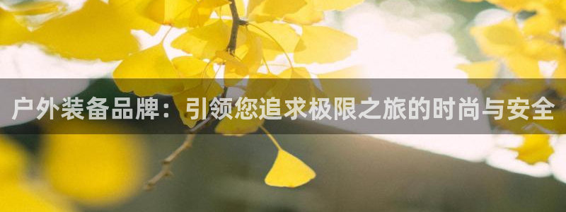 利记官网电脑版