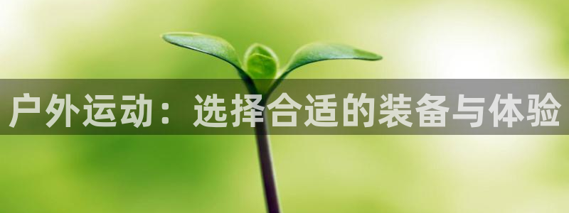 利记官网app下载网址日博官网网址