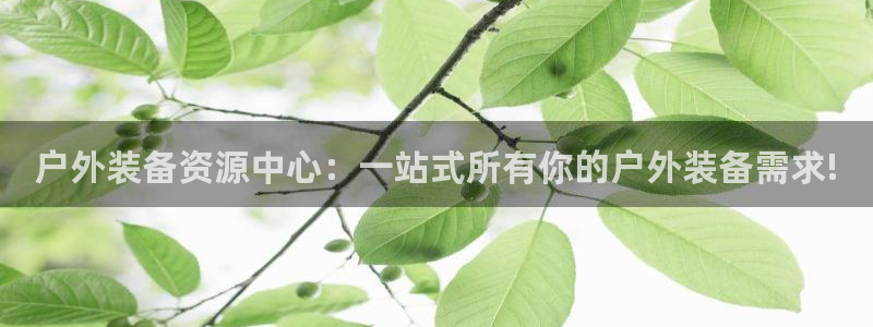 利记投注平台官网