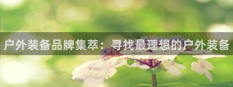 利记彩票导航网址官网hd71