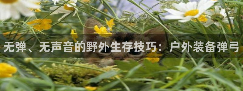 利记体育在线官网