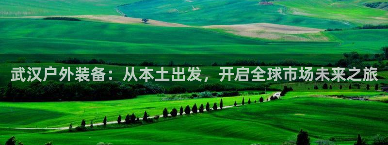 利记国际线址官网