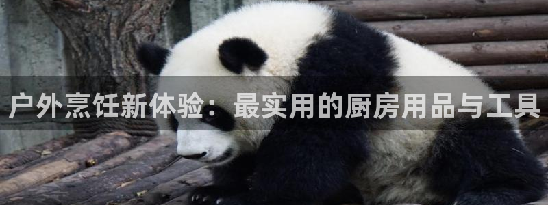 利记娱乐会员金钻官网