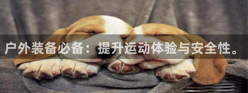 利记官网是多少