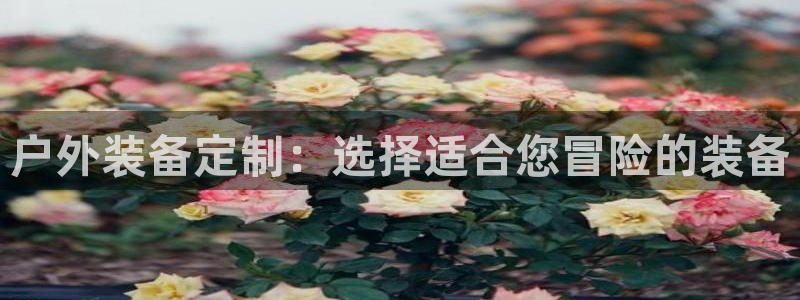 利记官网日亚运比