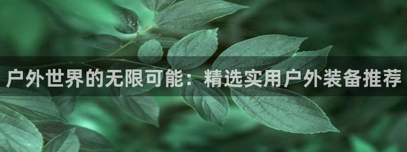 利记官网是真的吗