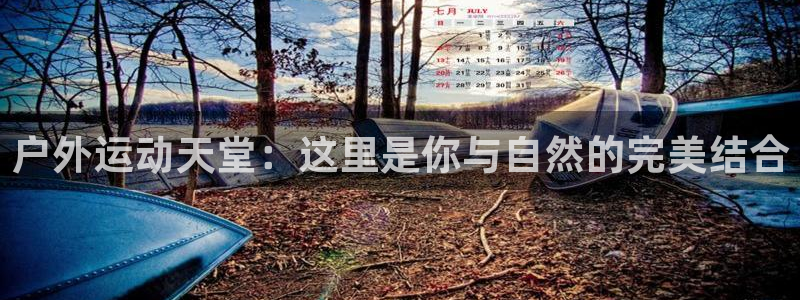 利记游戏开户ysb体育官方官网